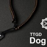 ttgd-dt01